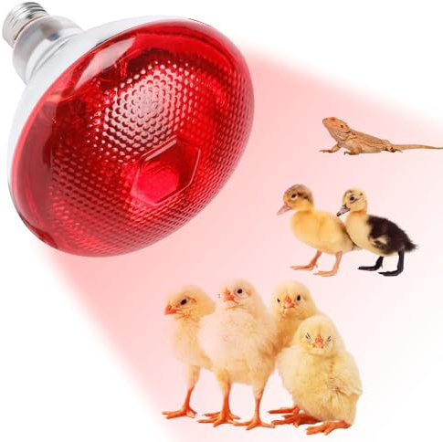 KBIBCK Lampada Infrarossi Riscaldante, 250W Reptile Lampada Riscaldantes, Lampadina Riscaldante E27, Lampadas per Tartarughe di Terra, per Polli, Cani, Maiali, Tartarughe, Lucertole