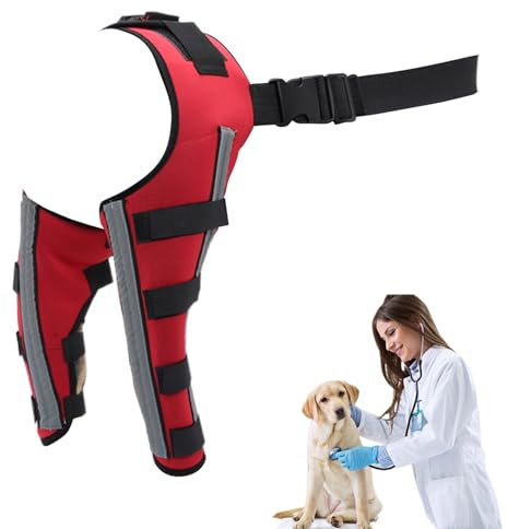 Orthopedic Brace for Dogs Adjustable Support Bracket | Dog Rear Leg Sleeve Support Wrap, Knee Wound Protection, Keeps Joints Stable, Fixation, Mobility for Weakness, Injury,