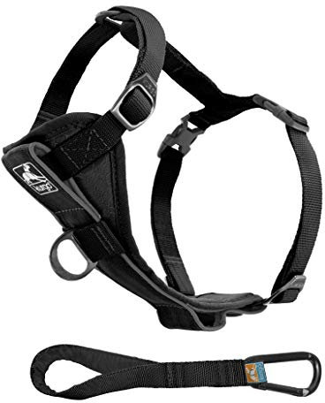 Kurgo TRU-Fit – Intelligentes Hundegeschirr, Trainingsgeschirr, Anti-Zieh-Geschirr inkl. Sicherheitsgurt – Schwarz, L