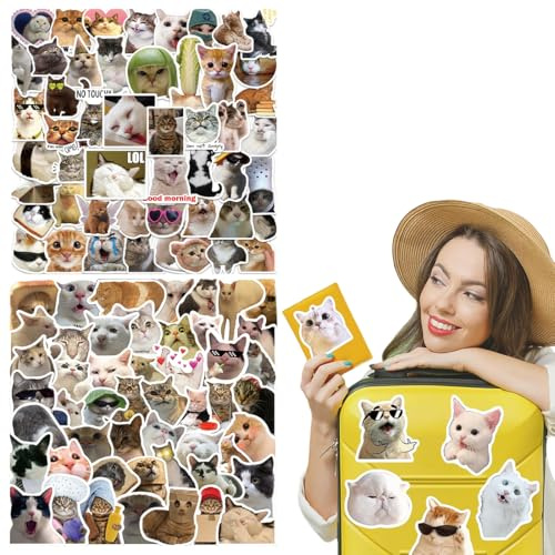BHIPKOT Cat Meme Aufkleber für Laptop(100 PCS) Geschenk für Kinder Jugendliche Erwachsene Jungen Meme Stickers Wasserdicht Vinyl Aufkleber für Scrapbook Skateboard Auto Gepäck