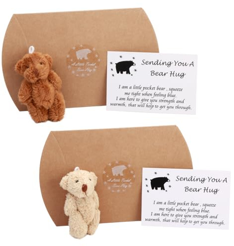 2 Pack A Little Pocket Worry Bear Hug in a Box Pocket Valentine's Hug Love Token Small Anxiety Gifts for Lover Women Cheer Up Get Well Soon Encourage Mothering Sunday for Mom Friends Family Birthday