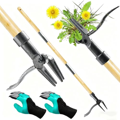 Unkrautstecher, 1.1m Langem Stiel, Remover, Natürlicher Bambusgriff und 4 Metallkrallen, Löwenzahn Entferner,Fußbetätigtes Unkrautstecher, Gartenwerkzeug Starter Set