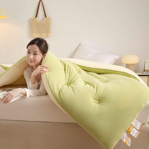HLTQL Trapunta Invernale in Fibra di Soia, Piumone Invernale Spesso, Coperta Molto Calda E Super Morbida per 2 Persone, Trapunta in Microfibra, Piumone Trapuntato Reversibile(A,200 * 230cm/5.25kg)