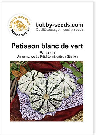 Patisson vert-blanc Kürbissamen von Bobby-Seeds, Portion