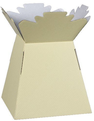 APAC Ivory Living Vase Flower Box Flower Bouquet Transporter, Sweet Tree Box