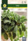 Mascarell Semillas, SALVIA OFFICINALIS, Semillas de Hierbas Aromáticas para Plantar, Crea tu Propio Huerto en Casa, 1 Gramos