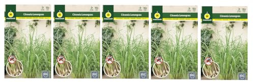 DECOALIVE Semillas de Citronela Pack 5 Sobres de Lemon Grass
