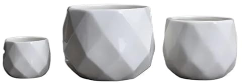 Vaso da fiori in ceramica, mini fioriere per piante grasse, bonsai, per interni, colorato, per casa e ufficio, perfetto per piante di serpente (bianco, 12 x 9 cm)