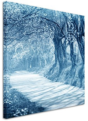 Sinus Art 60x60cm Wandbild Fotoleinwand Bild in Blau Allee Kirschbäume Thailand