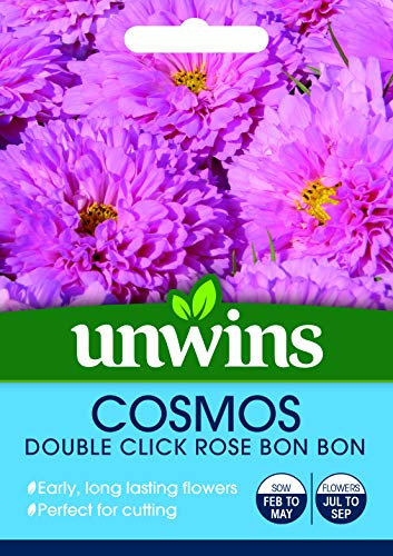 Unwins 30710036 Cosmos Double Click Rose Bon Seeds, Clear