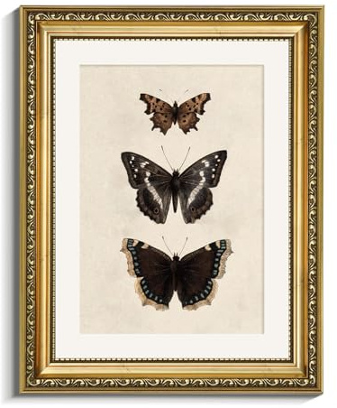 VIYYIEA Vintage Gold Framed Butterfly Wall Art, Bedroom Bathroom Shelf Retro Butterfly Illustration Room Decor, Canvas Prints, Antique Picture Frame Paintings Home Farmhouse Wall Decor, 11x14 Inch