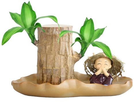 Planta de madera brasileña | Tocón hidropónico purificador de aire mini decoración de mesa interior absorbente de formaldehído natural | Estilo ornamental maceta de resina regalo de escritorio para