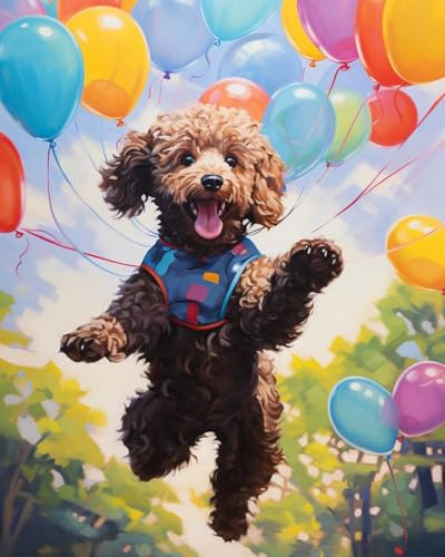 ZMHZMY Paint by Numbers for Adults Beginner,Poodle,Balloon DIY Oil Painting Kit on Canvas with Paintbrushes and Acrylic Pigment, Arts Craft for Home Decor,40x50cm