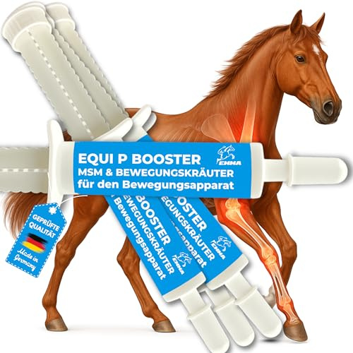 MSM häst pilbark häst – Equi P Booster – vitaminpasta plus glukosamin kondroitin hög dos häst – vitamin C öljäst – muskuloskeletala leder senor band brosk seniorer hästar 4 st