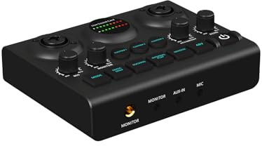 Scheda audio dal vivo doppio microfono per esigenze di registrazione professionale in qualsiasi ambiente per cantanti, streamer, podcaster