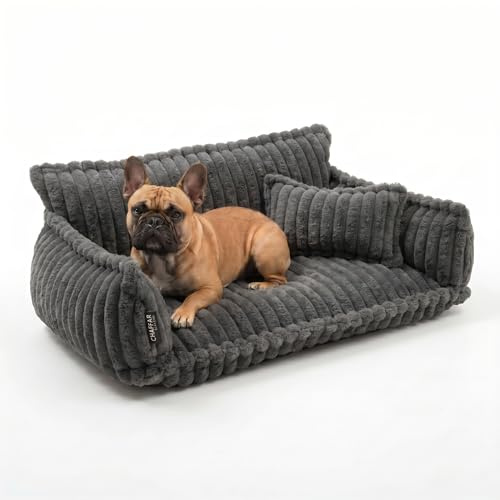 noviclass® Hundesofa Chaffar Hundebett | Orthopädische Matratze | Moderner Stil | Cord-Design Größen (Kohle, L (100cm))