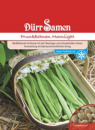 Prunkbohnen Samen Moonlight Bohnensamen Weißblühende Bohnen ca 40 Korn Saatgut Gemüse Garten Hochbeet Kübel Dürr Samen