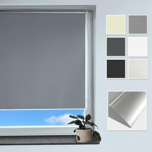 Rollmayer Verdunklungsrollo Thermorollo Klemmfix ohne Bohren, Seitenzugrollo Thermo Rollo für Fenster und Tür (Thermo-Grau - 125 x 150 cm - BxH)