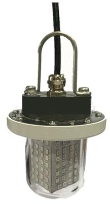 Luz De Pesca Sub De Alta Potencia, 60 W, 12 V, Luz For Atraer Peces, Luz Subacuática, 60 Cuentas De Lámpara, Buscador De Pesca Sumergible