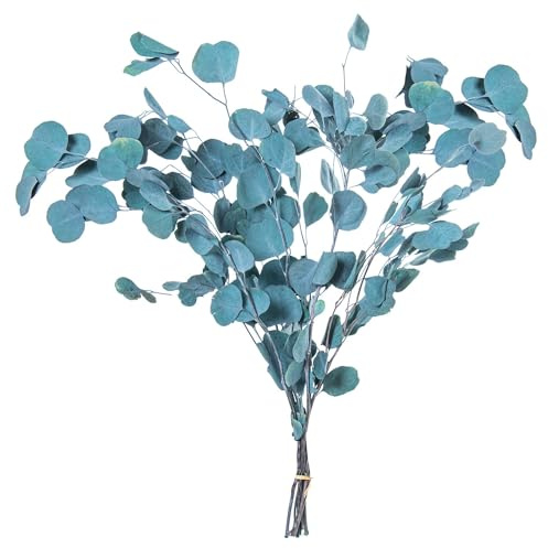 Set de 6 Ramos de Hojas de eucalipto Natural preservado Azul 1x1x80 cm