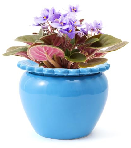 Lovely Ran Afrikanische Veilchen-Töpfe, 16,5 x 11,7 cm, blaue Keramik, einfache Pflanze, selbstbewässernder Topf, blauer Keramik-Blumentopf mit wasserabsorbierendem Innentopf, Orchideen-Pflanzgefäß,
