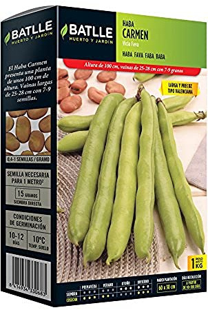 Batlle frön – Haba tidig böna Carmen, lång 1 kg