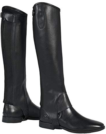 Busse