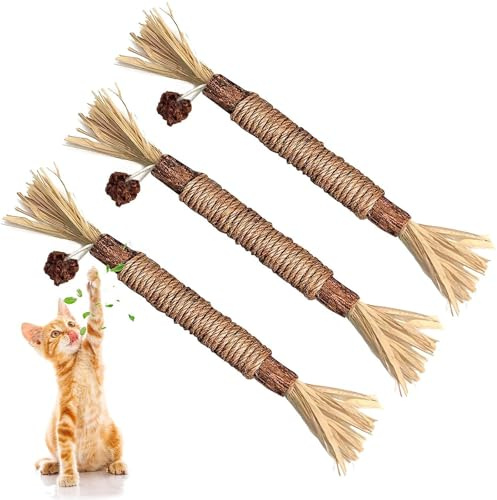 jiejack Silvervine-pinnar, kattmyntpinnar, tandvård, katter tuggpinnar för katter tandvård och mot dålig andedräkt naturlig säker, kattleksak självupptagande (3 stycken)