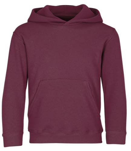 Sudadera con capucha para niños (unisex), de la marca Fruit of the Loom, Niños, color burdeos, tamaño 5-6 Años
