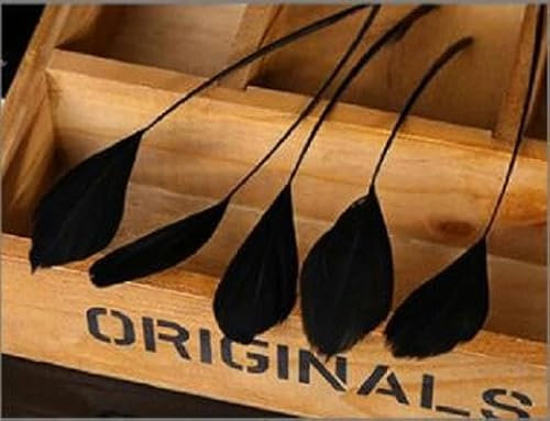 14–20 cm Höhe, mehrfarbig, kleine lange Gänsefedern, natürliche Federn für DIY-Schmuck, Basteln, Hochzeitsdekoration, 25/50 Stück, Schwarz, 50 Stück