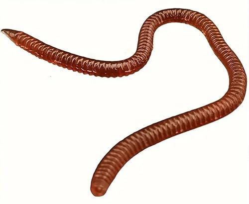 AMZfishing NEU Messeneuheit 2025 lebensechte künstliche Regenwürmer | Regenwurm Imitate | künstlicher Tauwurm | Gummi Regenwurm Gummi | Kunstwurm | Wurm Köder | Wurm Silikon (Regenwurm 10cm, 20)