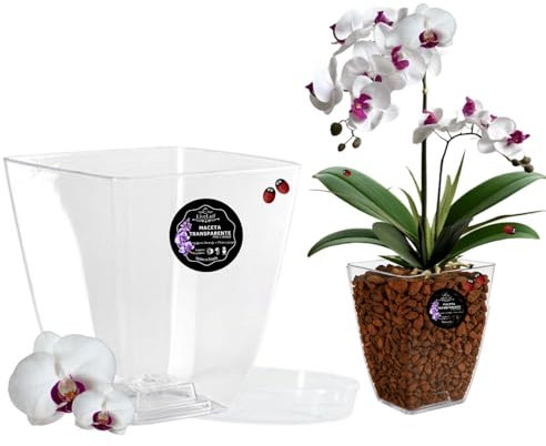 LiveLaif® - Vaso orchidea trasparente rettangolare 14 x 14 x 15 cm + piatto | vaso trasparente orchidea | fori drenaggio, effetto vetro, vaso per orchidee, realizzato in Spagna-vari modelli (1, rett)