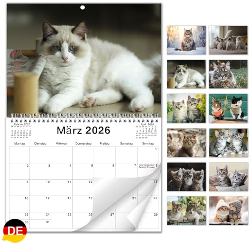AEYAKA 2026 Katter väggkalender – kattbilder månadsplanerare, månadskalender upp till A3, vikbar, familje- och kontorsorganisatör, gåva för kattälskare tyska
