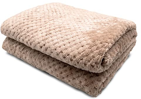 HTE Manta Microfibra para Cama 90, Manta Polar Efecto Pelo de Textura Suave 160 x 220 cm, Manta Sofá Grande de Invierno (Beige 160x220cm)