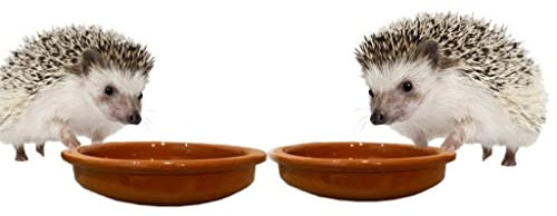 Woid Herz Futterspender für Igelhaus 2er Set Igel Futterschale Igelfutterschüssel