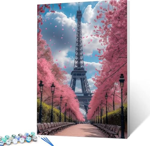 Malen Nach Zahlen Erwachsene Paris Komplettset Malen Nach Zahlen Eiffelturm Malen Nach Zahlen ab 9 Jahre MÃdchen Kinder,DIY Handgemalt Ölgemälde Kreativ Set für Erwachsene Deko Wohnzimme 50x70cm H5-12