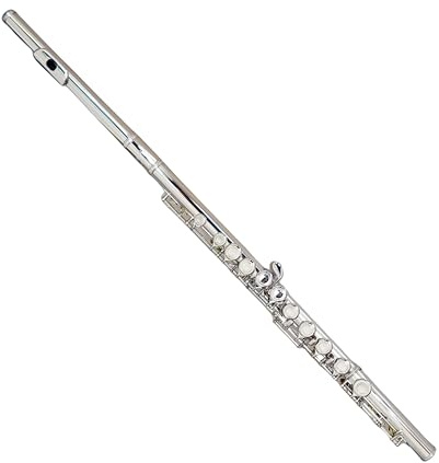 Deloitte C Flutes Closed Hole 16 Keys Flute Silver Plated, DFL-201, for Beginner Student Flute Instrument with Cleaning Kit, Carrying Case, Gloves, Tuning Rod