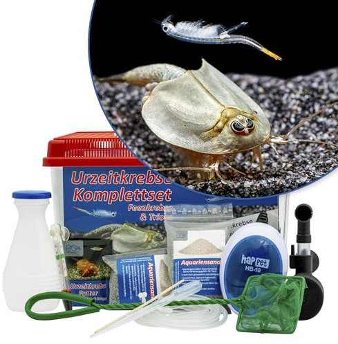 AQ4Aquaristik Triops und Feenkrebse Urzeitkrebse Komplettset,6 Liter, Kunststoff Aquarium, Eier, Luftpumpe, Filter, Kescher, Zuchtansatz, Futter und Anleitung