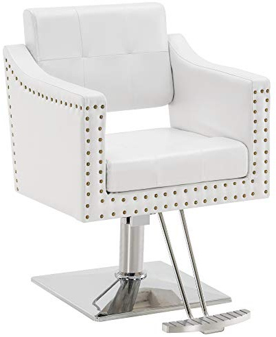BarberPub Salon Chair for Hair Stylist, Hydraulic Barber Styling Chair, Beauty Spa Equipment 8813 (6 Seat Height Adjustment) (White)