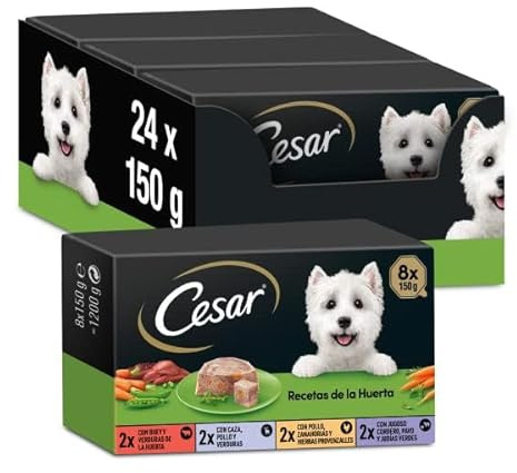 Cesar Comida Húmeda para Perros Recetas de la Huerta en Paté y Gelatina, Multipack 3 x 8 Tarrinas x 150g