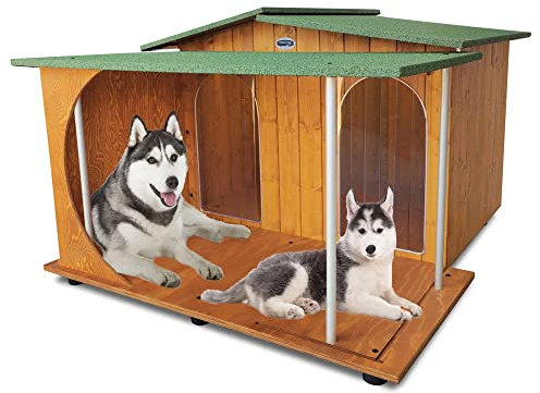 Acquista in Fabbrica Cuccia in Legno con Veranda per Cani da Esterno Tendina Omaggio Made in Italy Misura Alano MOD. Oasi – Doppio Ingresso