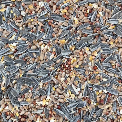 Mélange de graines BusyBeaks pour Oiseaux Sauvages - Mélange Premium de blé, maïs concassé, sorgho, graines de Tournesol et Millet - Idéal pour Une Alimentation Toute l'année.