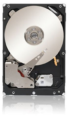 Seagate Disque dur interne 3.5 3 To Enterprise Capacity Bulk ST3000NM0033 SATA III (Reconditionné)