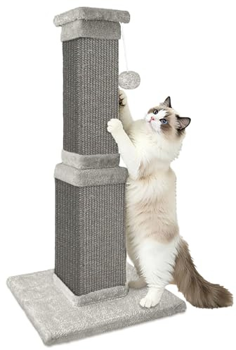 Kratzsäule für Katzen, 81 cm Kratzstamm aus Sisal und Holz, Katzen Kratzpfosten für große Katzen und Wohnungskatzen, Breite Basis, Ganz Grau | Breiter, stabiler Boden, Ganzkörper-Kratzbaum, robuster Pfosten für Katzen und Erwachsene zum Schutz von Möbeln, Grau