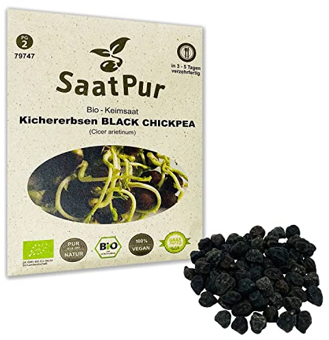 Black Chickpea BIO Keimsprossen von SaatPur - Kichererbsen Sprossen, Microgreens - 50g