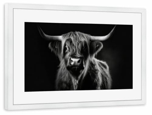 artboxONE Poster mit Rahmen weiß 60x40 cm Scottish Highlander Portrait von Uwe Merkel - gerahmtes Poster