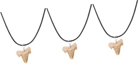 BESPORTBLE 3stücke Haifischzahn- Halskette Für Männer Verstellbare Kette Einzigartiger Schmuck Für Strandpartys Und Freizeit Perfektes Für Geburtstage Und Feiertage Charmantes Design Aus
