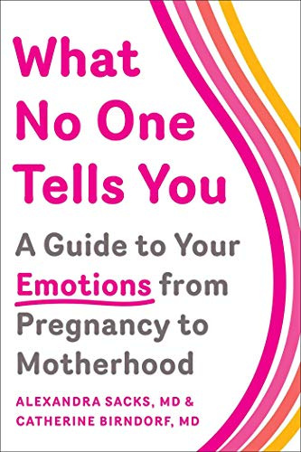 What No One Tells You: A Guide to Your Emotions from Pregnancy to Motherhood - Paperback by Dr. Alexandra Sacks