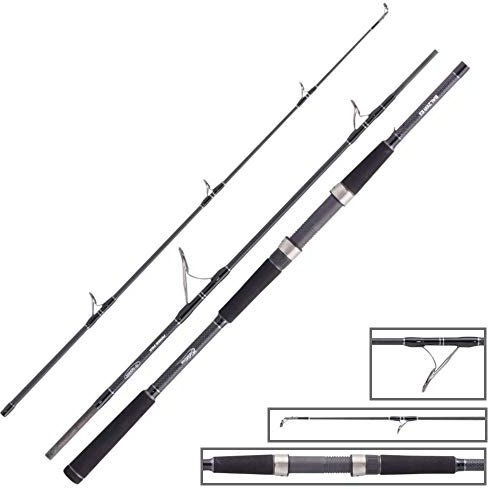 Balzer 71 Grad North Power Pilk Travel 1,95m 100-275g Reiserute - Pilken - Pilkfischrute - Fischrute