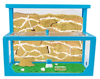 AntHouse - Fattoria di formiche di sabbia naturale 3D | Modello L (Sandwich + Food Box) Blu | Compreso il formicaio